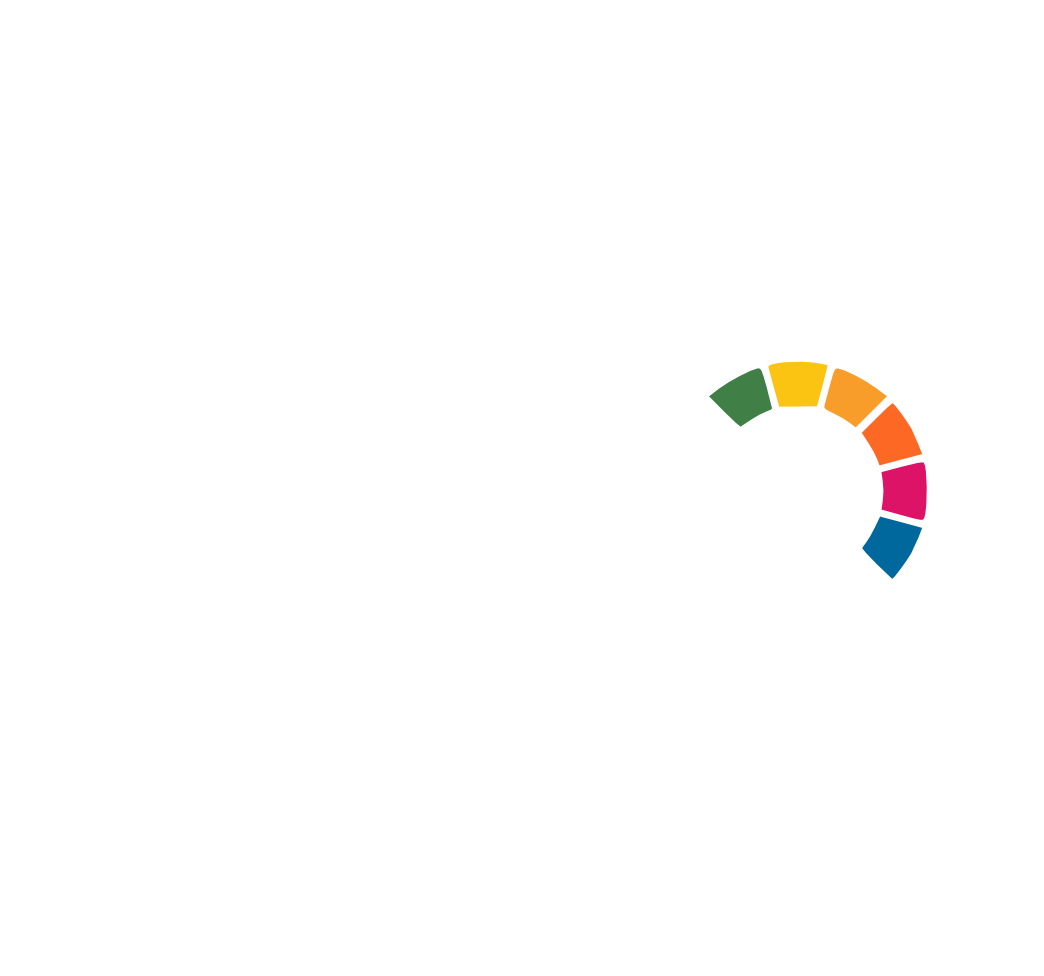 Net zero cities