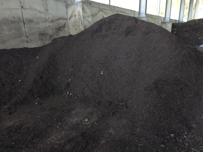 Снимка на новина 13659