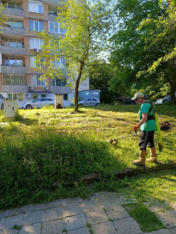 Снимка за График за косене на тревните площи на територия...