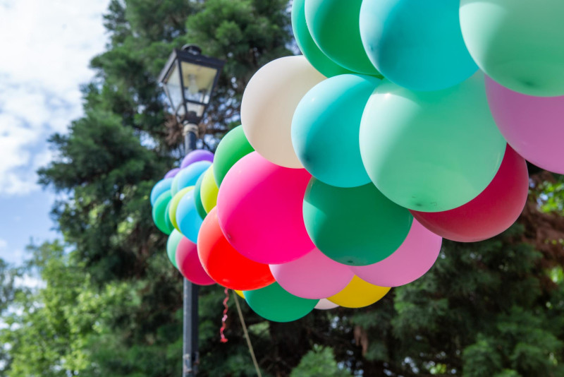 Снимка на новина 13606