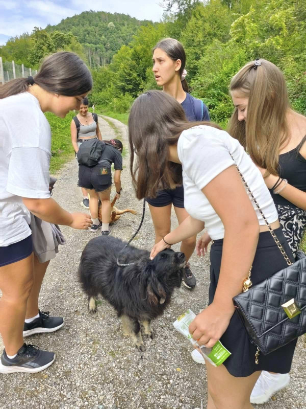 Снимка на новина 13729