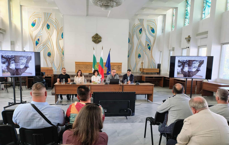 Снимка на новина 13792