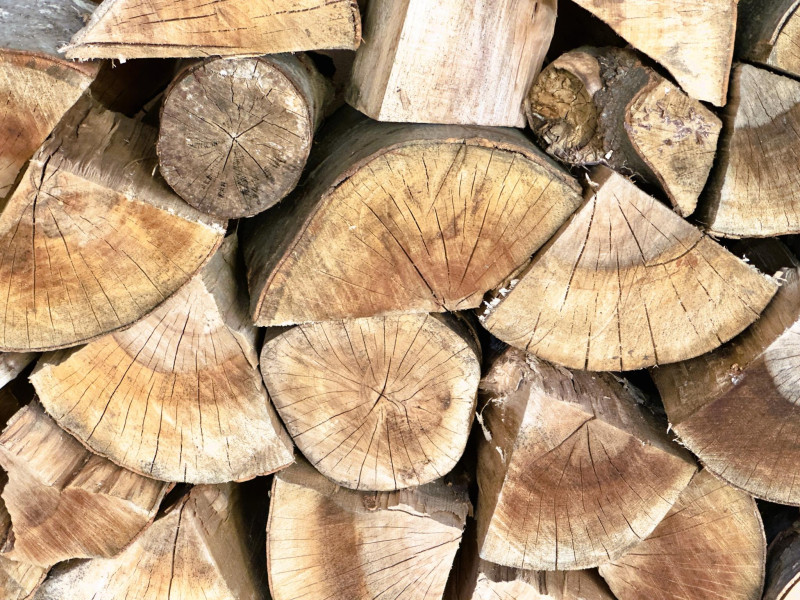 Снимка за Приемат се заявления за дърва за огрев