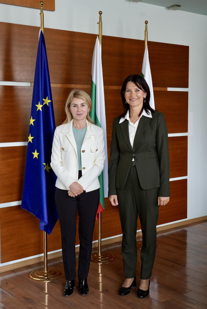 Снимка за 14242