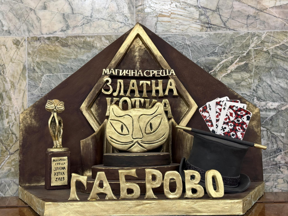 Снимка за 14240