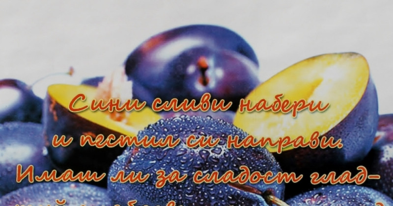 Снимка за Борики посреща единадесетото издание на „Празни...