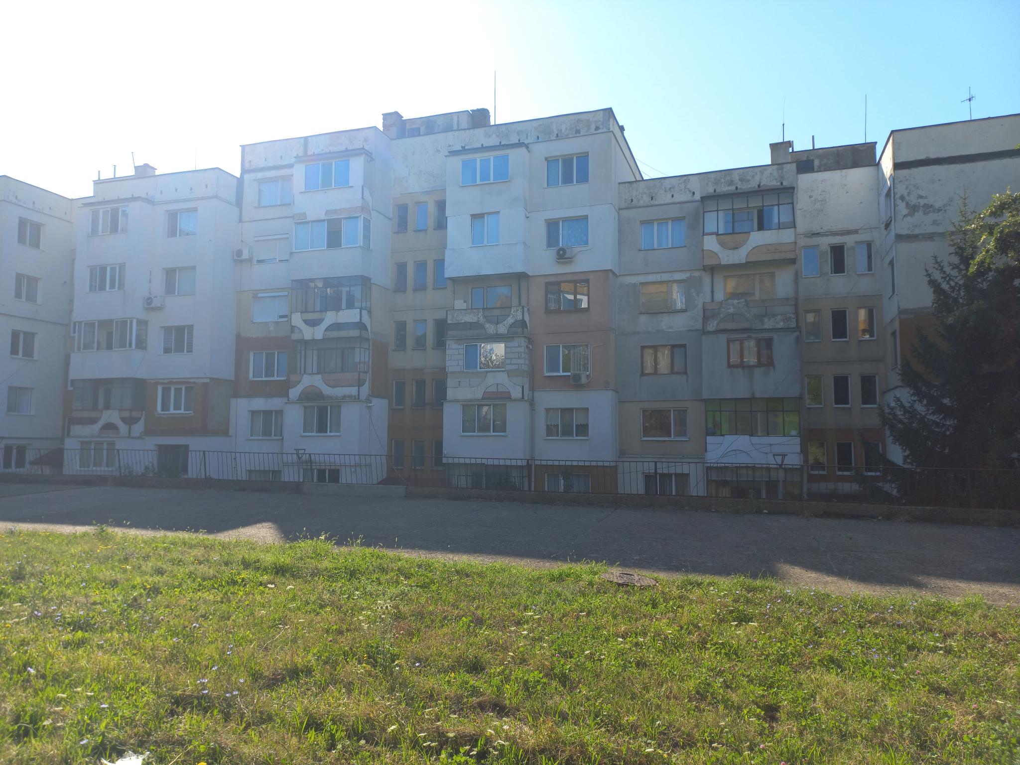 Снимка за Хризантема 6, 8, 10, 12 и 14