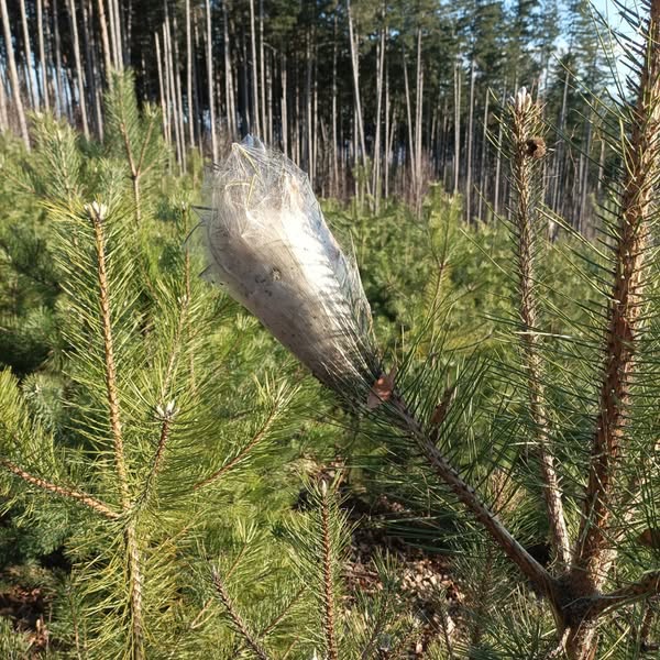 Снимка на новина 13755